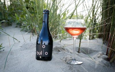 Buloo Apero – Van kombucha en het echte ambachtelijk genieten