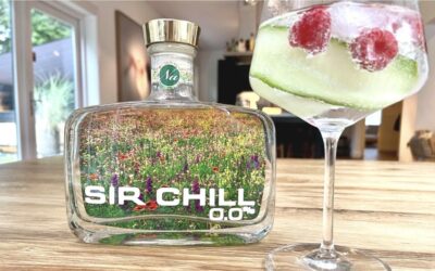 Alcoholvrij genieten van een gin-tonic? Dat kan met dit 0.0 alternatief voor gin!