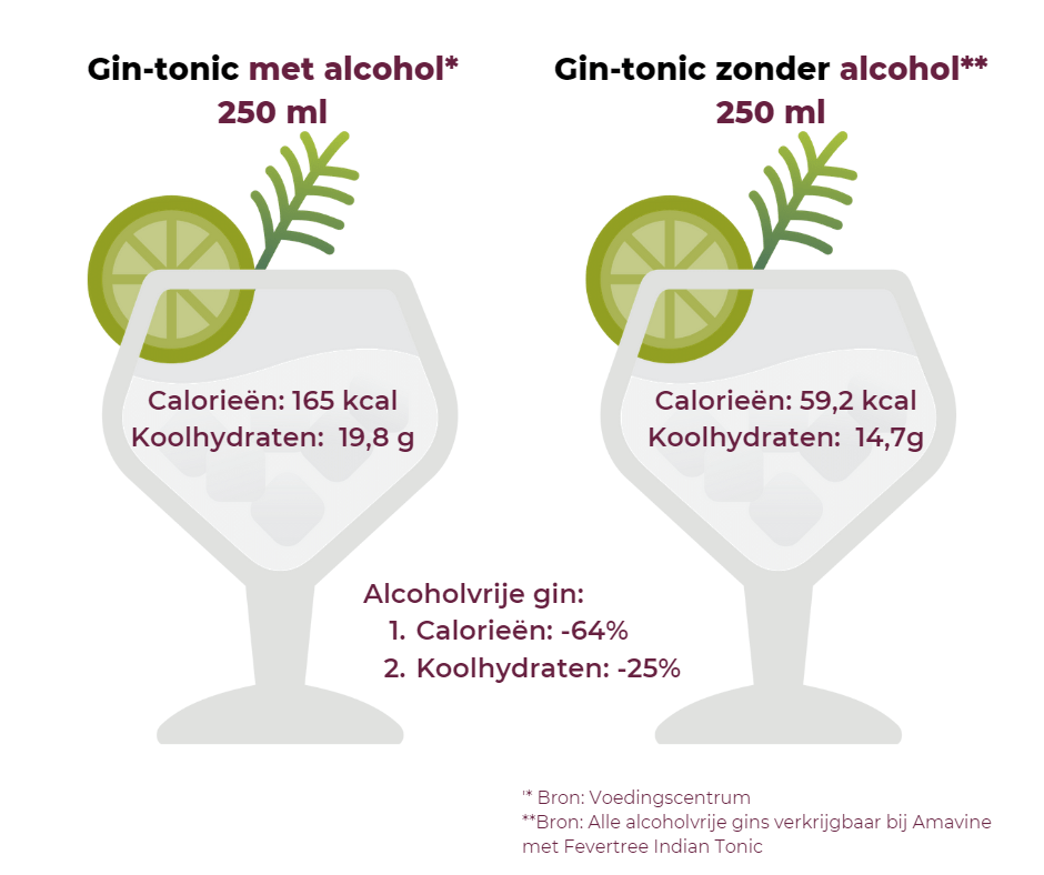 Gin-tonic met alcohol - infographic
