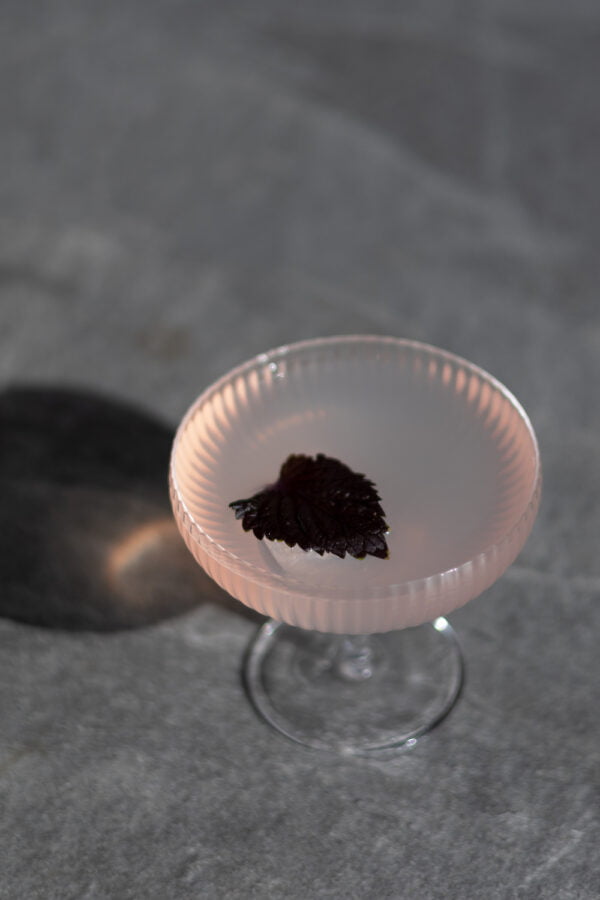Een alcoholvrije Shizo cocktail wordt gepresenteerd in een cocktailglas met een klein shizoblaadje. De sfeer is zonnig.